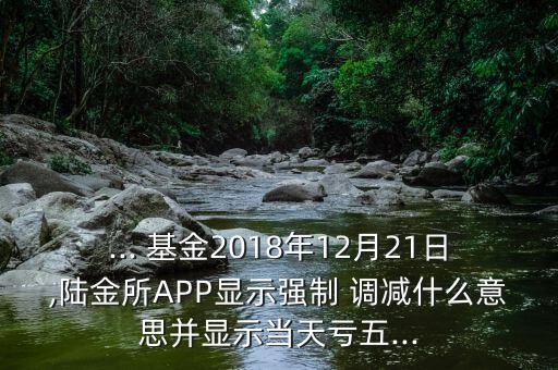 ... 基金2018年12月21日,陸金所APP顯示強制 調(diào)減什么意思并顯示當天虧五...