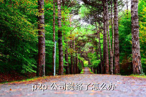 p2p公司倒閉怎么辦,網絡貸款平臺跑路可以報警