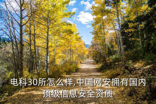 中國電科30所怎么樣,中國網(wǎng)安擁有國內(nèi)頂級(jí)信息安全資質(zhì)