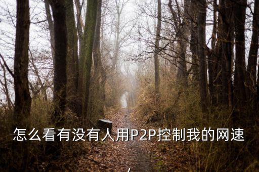 怎么看誰(shuí)在用p2p,防火墻記錄會(huì)顯示是誰(shuí)攻擊了電腦