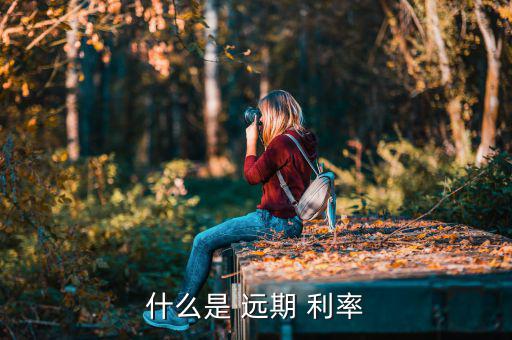 什么是 遠(yuǎn)期 利率