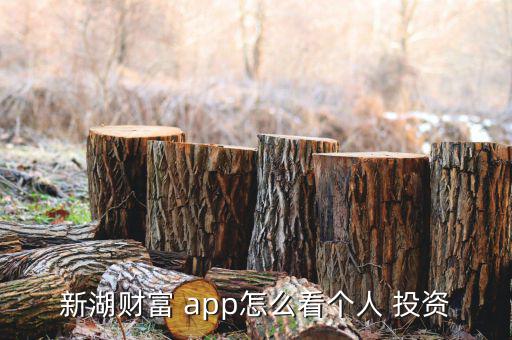 新湖財(cái)富 app怎么看個(gè)人 投資