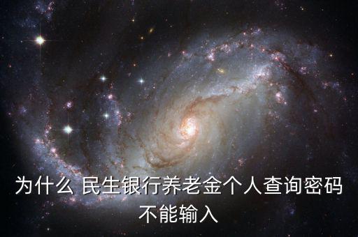 民生銀行企業(yè)年金怎么查,商業(yè)銀行企業(yè)年金查詢個人賬戶1