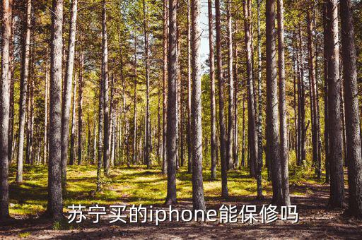  蘇寧買(mǎi)的iphone能保修嗎