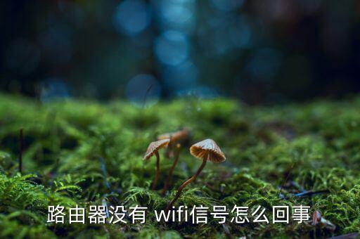 中傳wifi怎么才有,如何連接電視wifi?