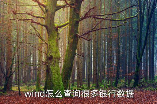  wind怎么查詢很多銀行數(shù)據(jù)