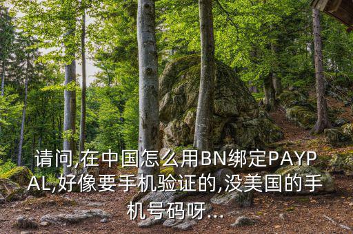 請問,在中國怎么用BN綁定PAYPAL,好像要手機驗證的,沒美國的手機號碼呀...