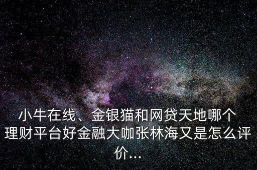  小牛在線、金銀貓和網(wǎng)貸天地哪個 理財平臺好金融大咖張林海又是怎么評價...