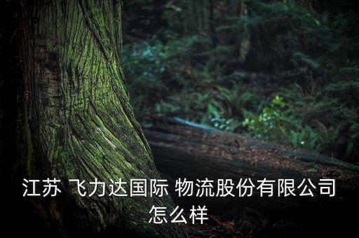 昆山飛力達(dá)物流工資怎么樣,本地物流公司成立時(shí)間表