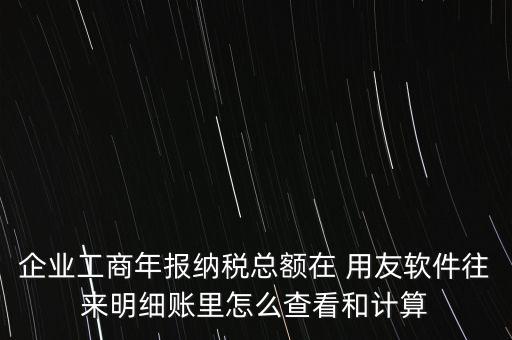 企業(yè)工商年報(bào)納稅總額在 用友軟件往來(lái)明細(xì)賬里怎么查看和計(jì)算