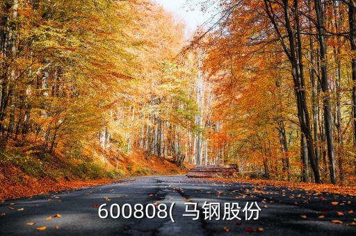  600808( 馬鋼股份