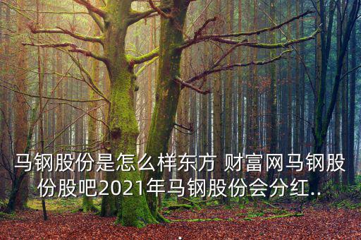 馬鋼股份是怎么樣東方 財富網(wǎng)馬鋼股份股吧2021年馬鋼股份會分紅...