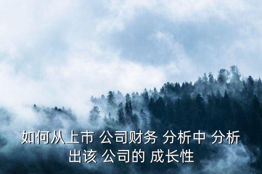 如何從上市 公司財(cái)務(wù) 分析中 分析出該 公司的 成長性