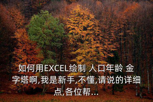 如何用EXCEL繪制 人口年齡 金字塔啊,我是新手,不懂,請說的詳細點,各位幫...