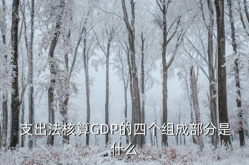  支出法核算GDP的四個(gè)組成部分是什么