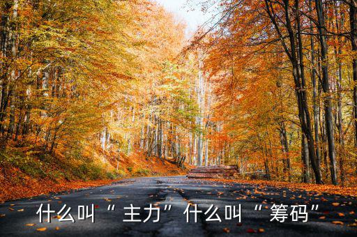 什么叫“ 主力”什么叫“ 籌碼”