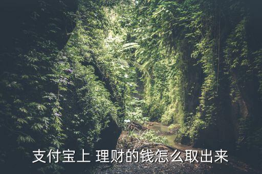 順手付理財怎么轉(zhuǎn)出,支付寶理財攻略（一）