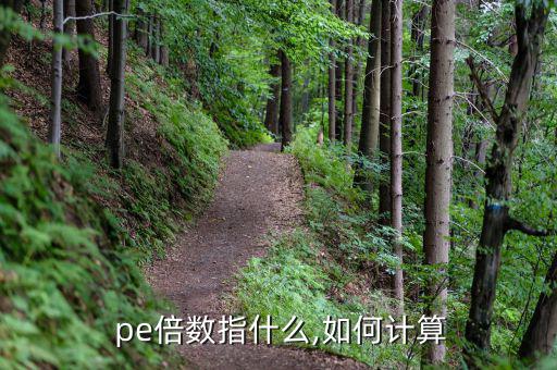  pe倍數(shù)指什么,如何計(jì)算