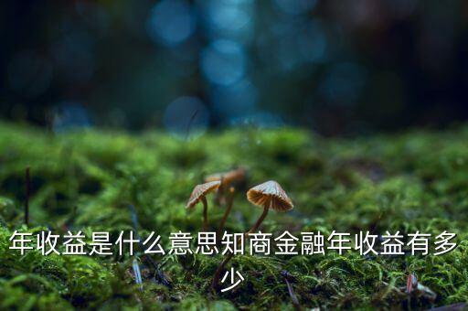 資金占用年收益是什么意思，利息支出中有個(gè)資金占用費(fèi)這個(gè)是什么意思