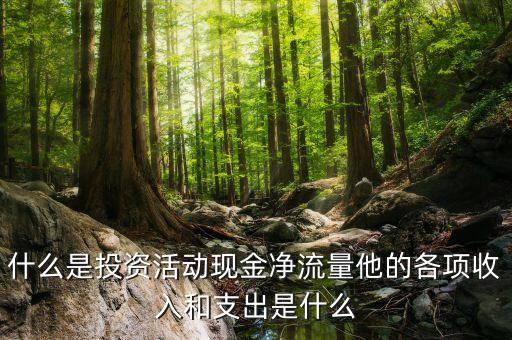 什么是投資活動(dòng)現(xiàn)金凈流量他的各項(xiàng)收入和支出是什么