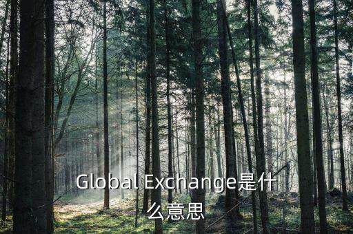 Global Exchange是什么意思