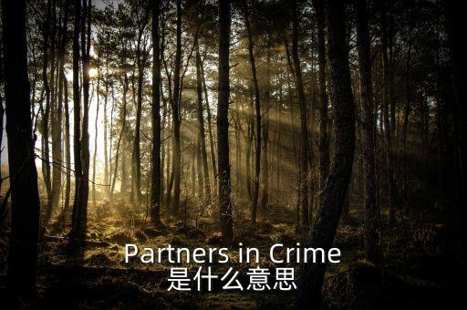 人工角膜是什么，Partners in Crime是什么意思