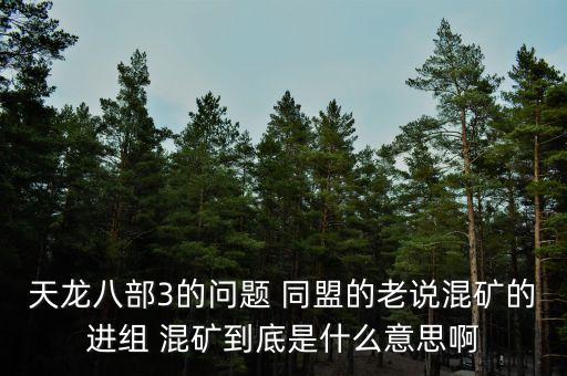 天龍八部3的問題 同盟的老說混礦的進(jìn)組 混礦到底是什么意思啊