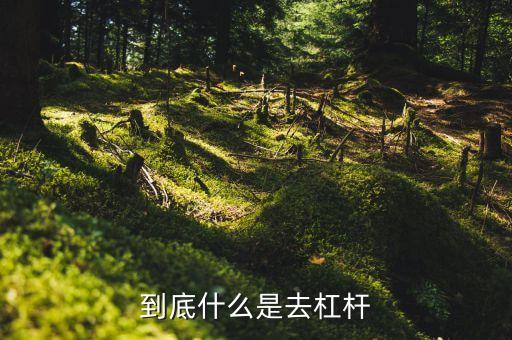 什么是去杠桿去產(chǎn)能，到底什么是去杠桿