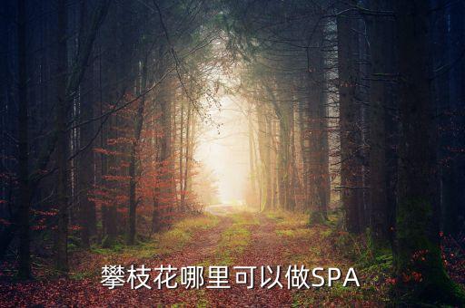 雅化集團(tuán)攀枝花恒泰做什么的，攀枝花哪里可以做SPA