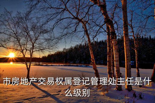 市房地產(chǎn)交易權(quán)屬登記管理處主任是什么級(jí)別