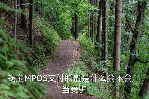 恒寶mpos是什么，錢寶MPOS支付聯(lián)盟是什么會不會上當(dāng)受騙