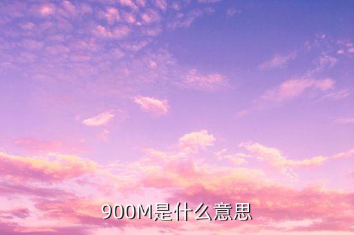 負(fù)債900m是什么意思，900m是什么意思