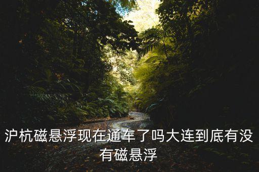 滬杭磁懸浮現(xiàn)在通車了嗎大連到底有沒(méi)有磁懸浮