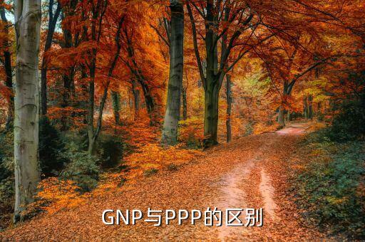 GNP與PPP的區(qū)別