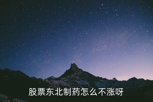 股票東北制藥怎么不漲呀