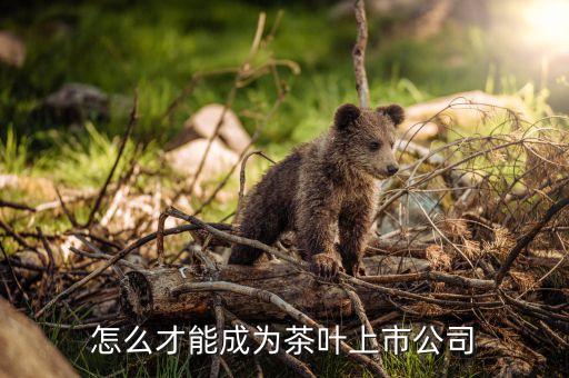 茶葉茶企為什么難上市，怎么才能成為茶葉上市公司