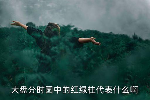 大盤分時線隨近的柱代表什么，股票分時圖下面黃藍(lán)白柱各表示什么