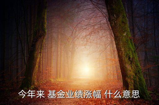 基金月漲幅是什么意思，今年來 基金業(yè)績漲幅 什么意思