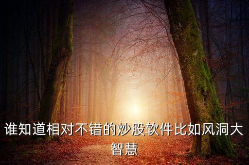 誰知道相對不錯(cuò)的炒股軟件比如風(fēng)洞大智慧