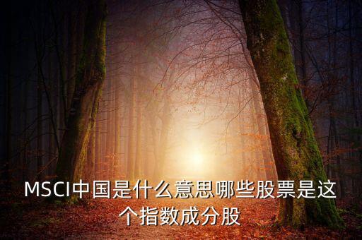 MSCI中國是什么意思哪些股票是這個指數(shù)成分股