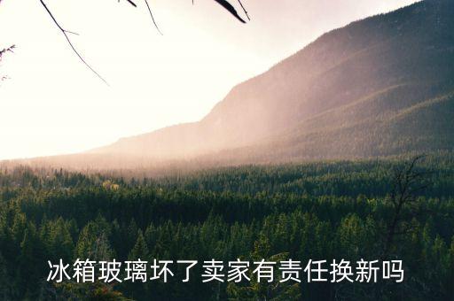 冰箱玻璃壞了賣家有責(zé)任換新嗎