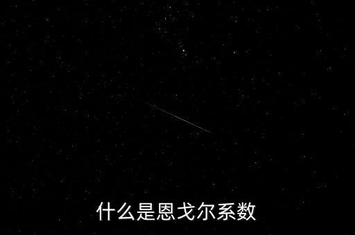 什么是恩戈爾系數