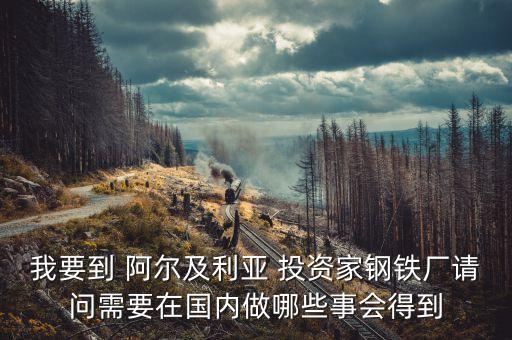 阿爾及爾投資什么好，本人打算去非洲做生意 都需要準(zhǔn)備些什么