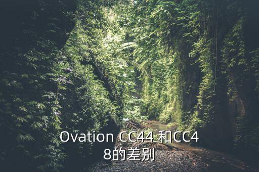 Ovation CC44 和CC48的差別