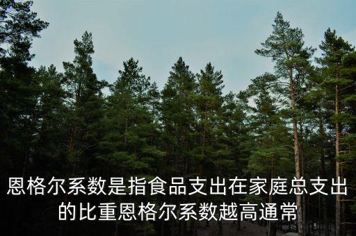 什么是恩格爾系數(shù)法，什么是恩戈爾系數(shù)