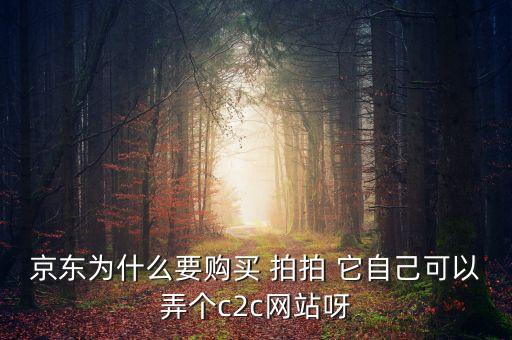 京東為什么要購(gòu)買(mǎi) 拍拍 它自己可以弄個(gè)c2c網(wǎng)站呀