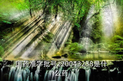 國藥準字批號z20043238是什么藥