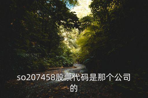 so207458股票代碼是那個(gè)公司的