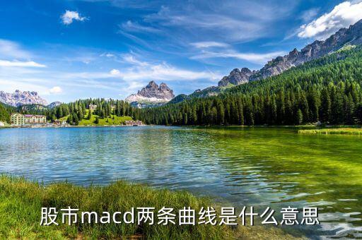 macd兩根曲線是什么意思，股市里MACD的兩條線是什么意思