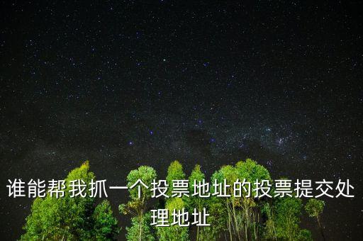 投票提交處理地址是什么，提交投票的問題怎么處理